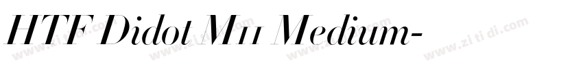 HTF Didot M11 Medium字体转换